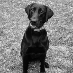 Meet your Posher, Jordan